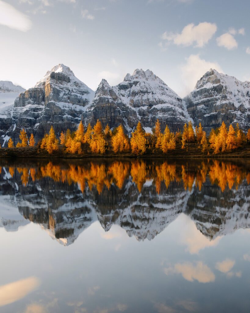 bright orange conifers against snowy mountains reflected in crystal clear water