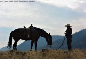 Funding can help deploy more range riders who provide human presence and vigilant monitoring of livestock and carnivores to discourage conflicts across larger tracts of land.  They can aid in monitoring livestock health, managing herd movements and dynamics, and support early detection of carcasses.