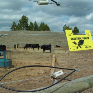 Funding is available to help adopt multi-strand electrified wire and drive-over electric mats to deter bears from accessing attractants such as calving yards, apiaries, chickens and other small livestock, as well as stored grain and crops.