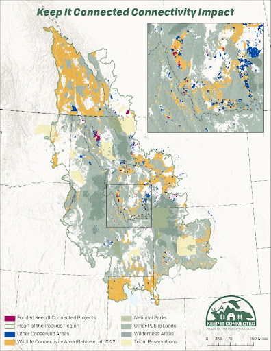 Wildlife Connectivity Map